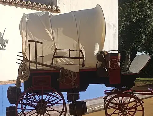 Jesus campos 25