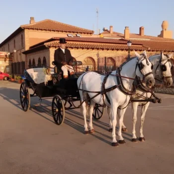 Jesus campos 29