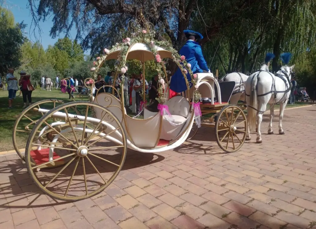 Carroza cenicienta moble