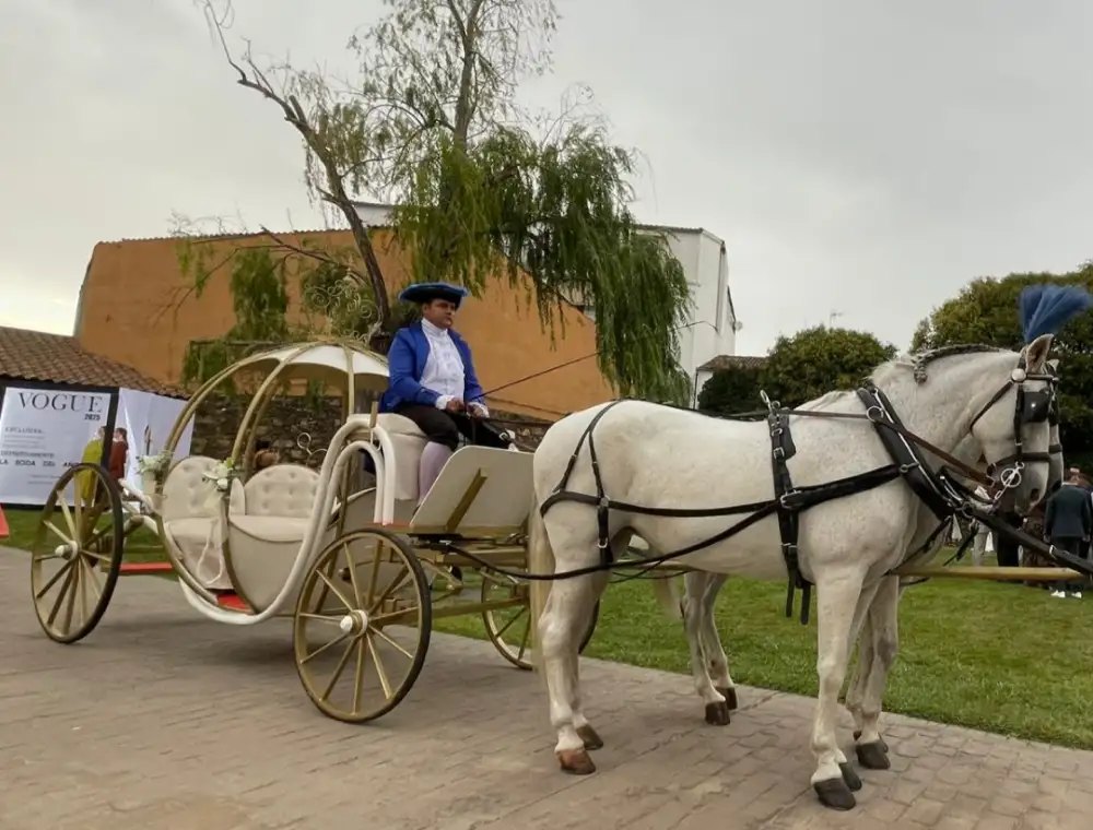 Carroza cenicienta slider06