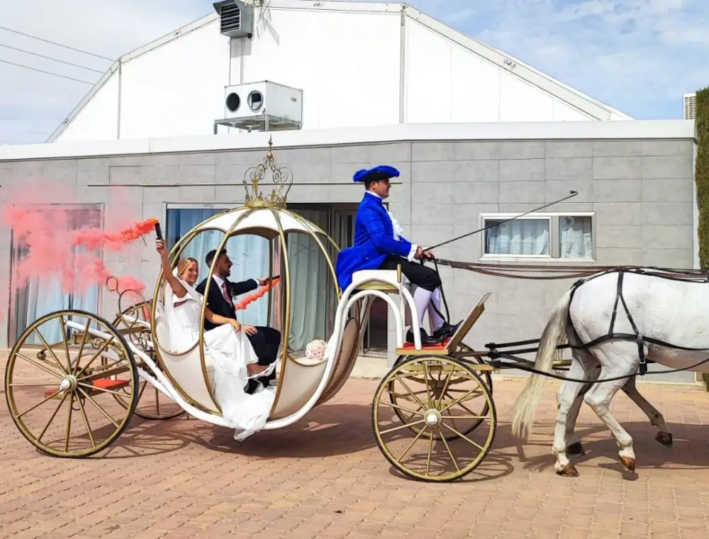 Carroza cenicienta slider07