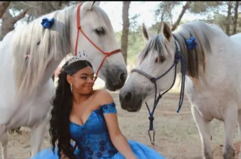 Lacarrozacenicienta1