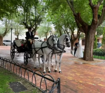 Lacarrozacenicienta10