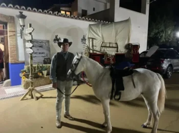 Lacarrozacenicienta11