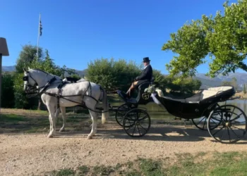 Lacarrozacenicienta18