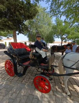 Lacarrozacenicienta19