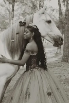 Lacarrozacenicienta2