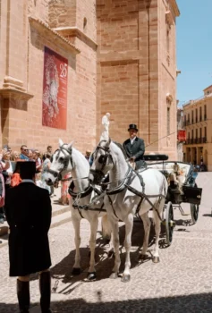 Lacarrozacenicienta21