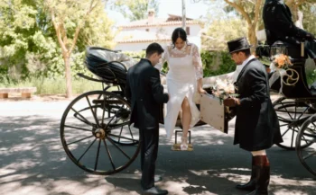 Lacarrozacenicienta23