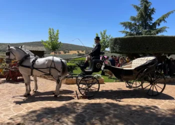 Lacarrozacenicienta24