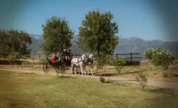 Lacarrozacenicienta25