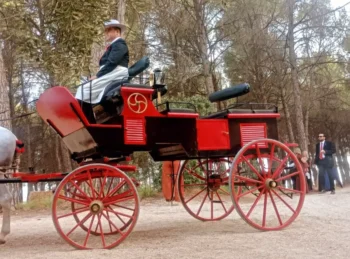 Lacarrozacenicienta26