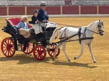 Lacarrozacenicienta28