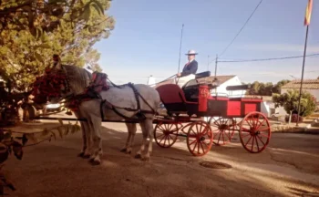 Lacarrozacenicienta29