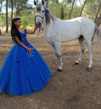 Lacarrozacenicienta3