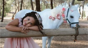 Lacarrozacenicienta4