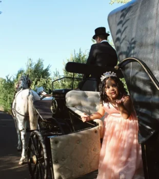 Lacarrozacenicienta5