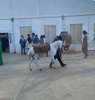 Lacarrozacenicienta6