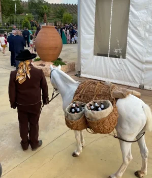 Lacarrozacenicienta7