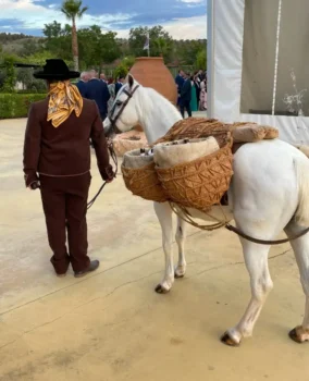 Lacarrozacenicienta8